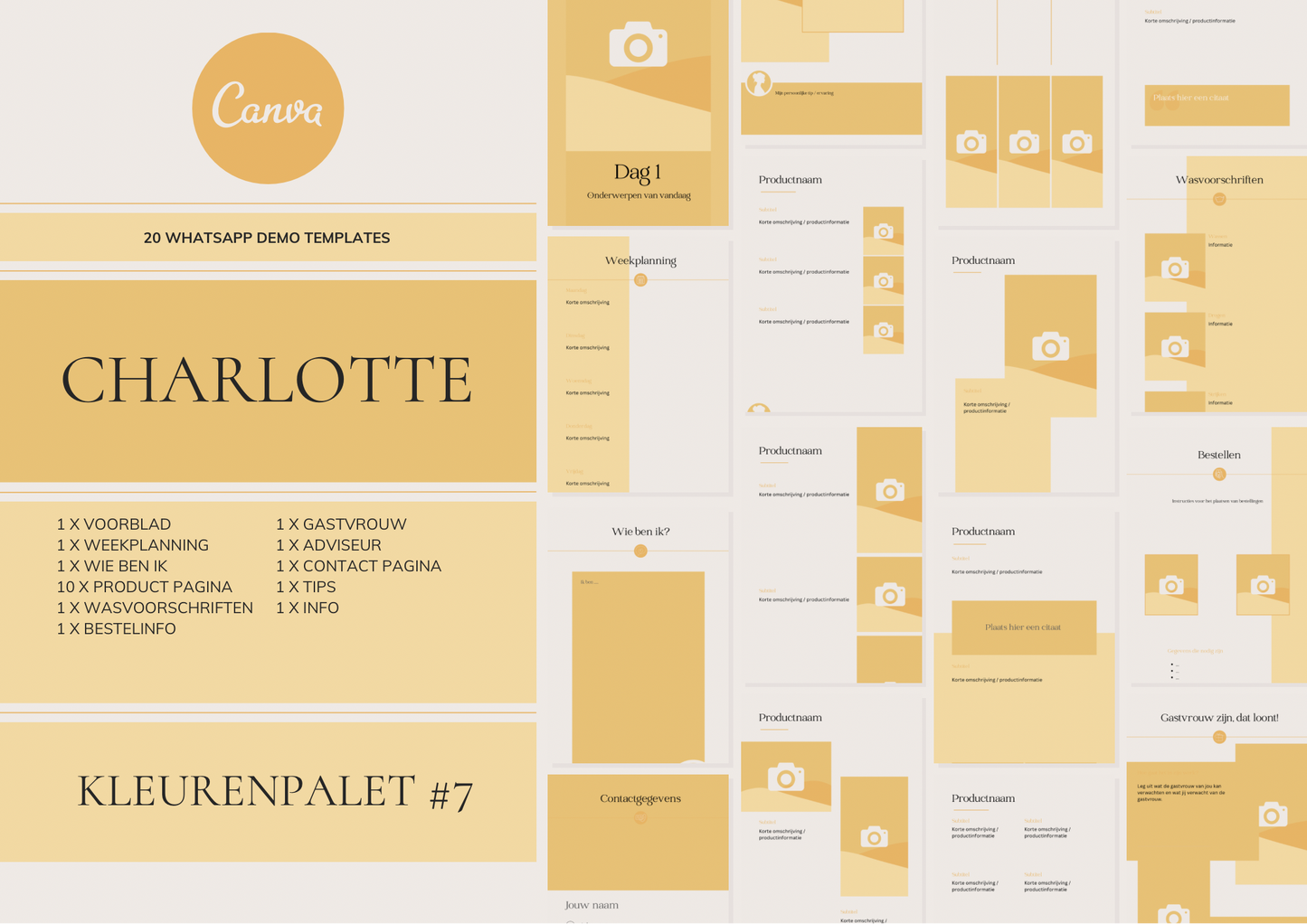Charlotte – WhatsApp Demo Templates